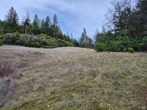 5376 Wild Iris Lane, Willits, CA 95490