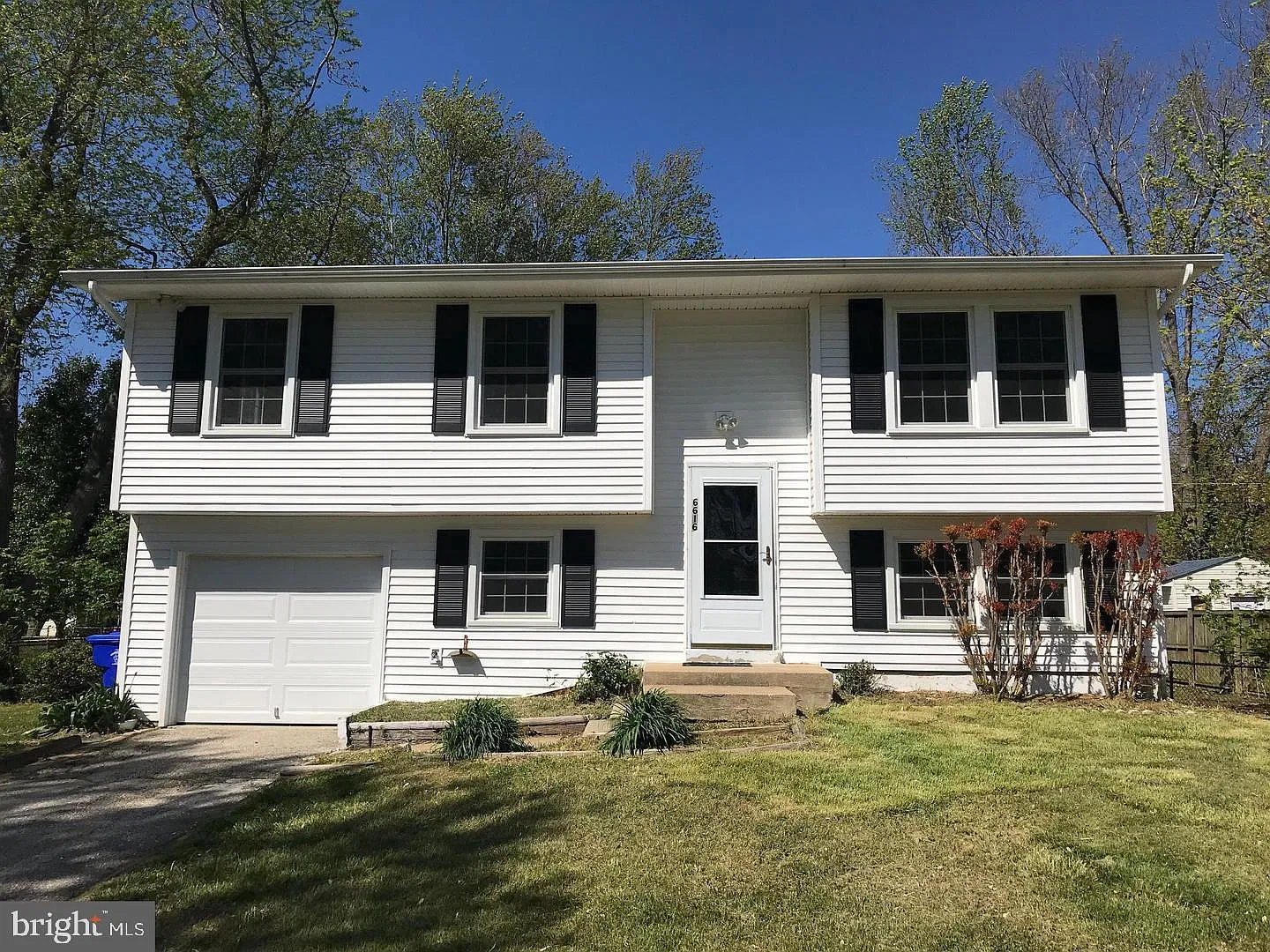 3 bed, 1.5 bath, 1445 sqft, $2,300 — Photo 1