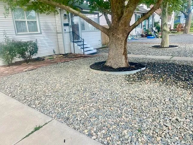 Mature sycamore shade trees, rose bushes and flower bulbs near front of home. Flagstone walkway from carpark to front door steps.
