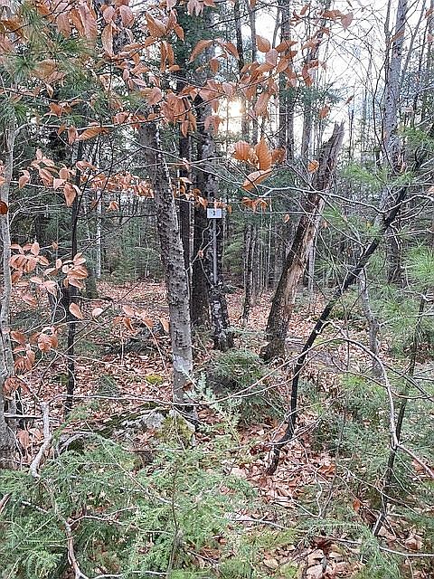 2nd image of 52 N Cove Dr