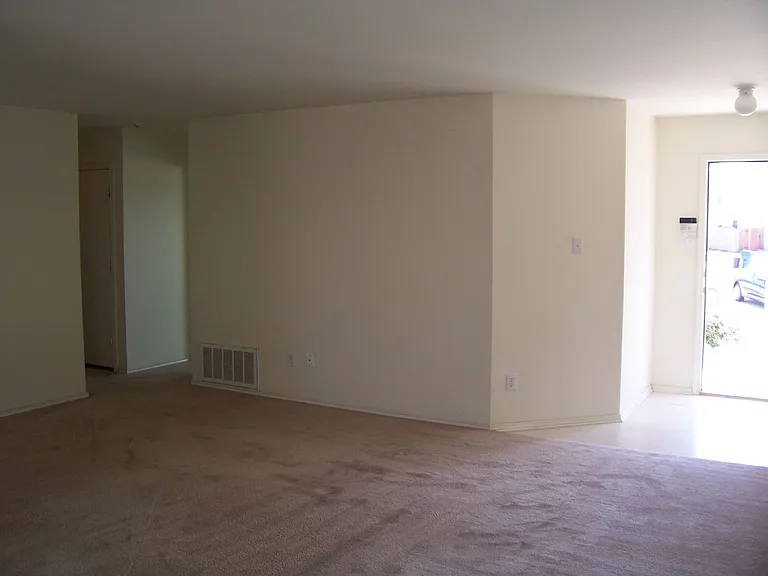 313 Edgewood Cv — Photo 10