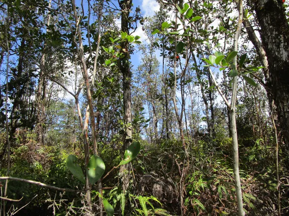 Road 11 Pulelehua Lot 6084, Kurtistown, HI 96760