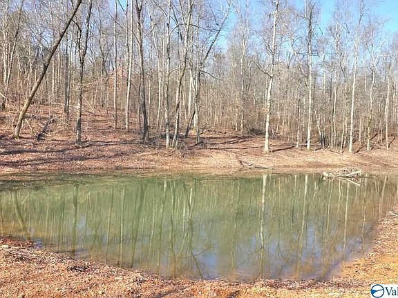 2nd image of 00 County Road 55