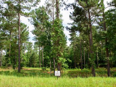 100 Overlook Dr #1, Eatonton, GA, 31024