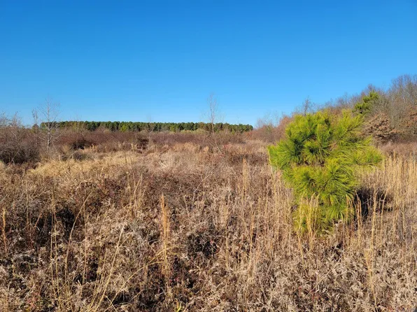 184 Sallibar Cv, Searcy, AR 72143