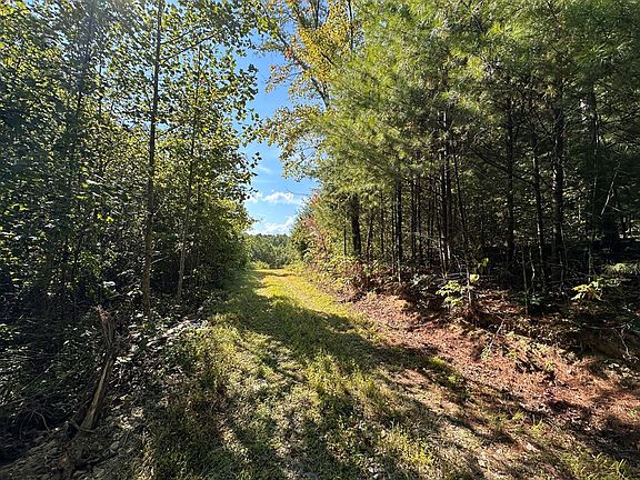 3rd image of 13.44 Ac Chestnut Ridge Rd