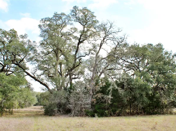 PARCEL 11 Lobo Ln, Columbus, TX 78934