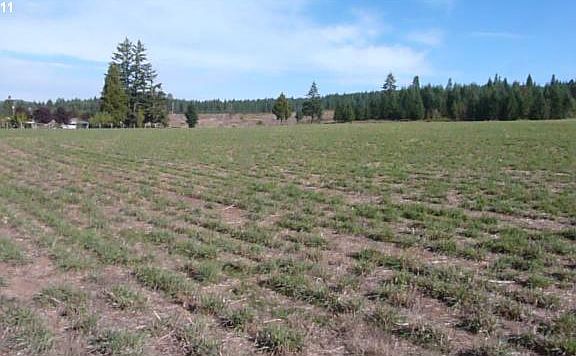 3rd image of 0 E Camas Rd