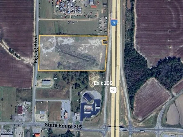 250 Pig Jig Blvd, Vienna, GA 31092