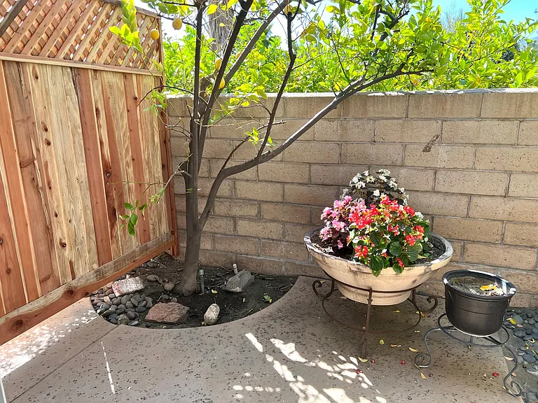 860 E Camino Parocela — Photo 5