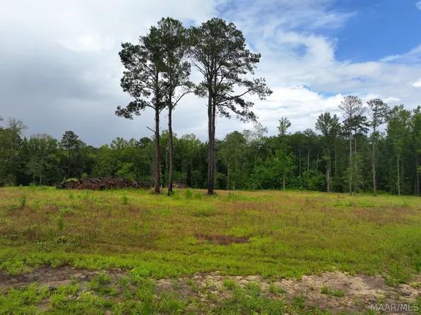 13 County Road 24 Rd, Auburn, AL 36830