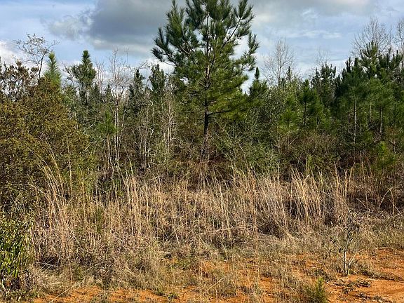 3rd image of W Wortham Rd