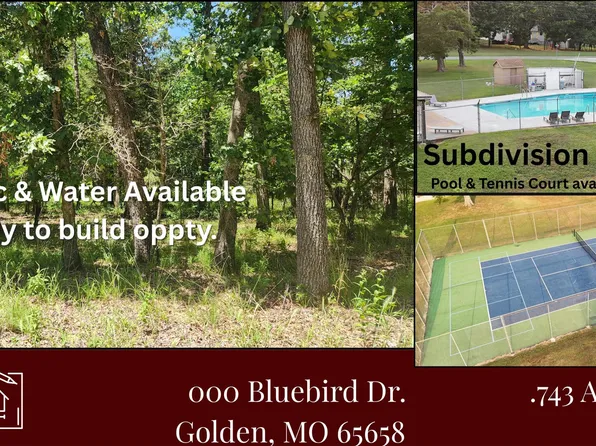 000 Bluebird Dr., Golden, MO 65658