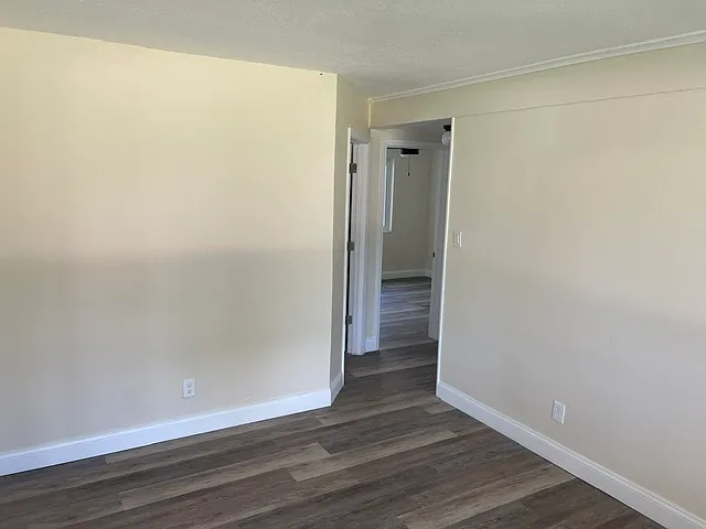 164 Lorie Dr — Photo 11