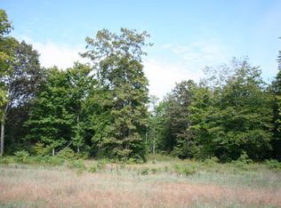 W Weaver Rd, Shelby, MI 49455