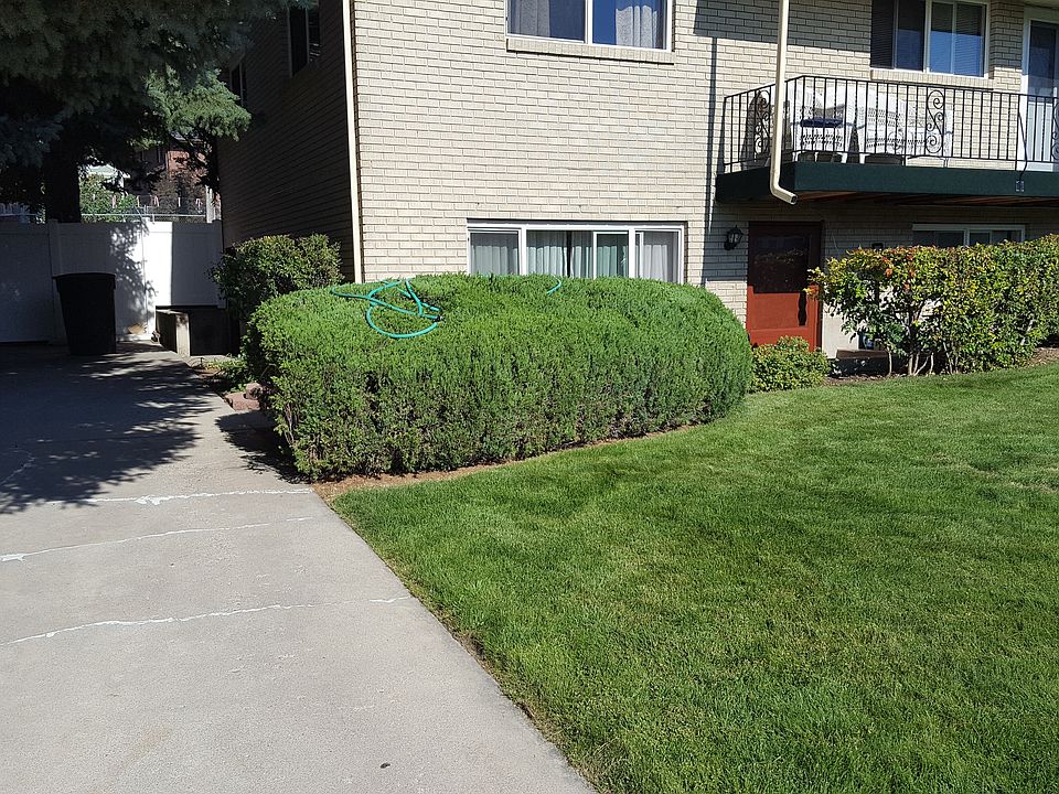 Driveway and entrance