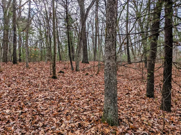 V/l 0 130th Ave, Hamilton, MI 49419