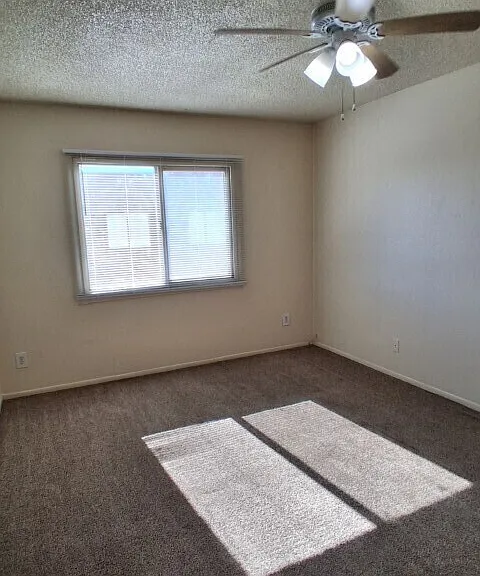 5305 W Lynwood St — Photo 29