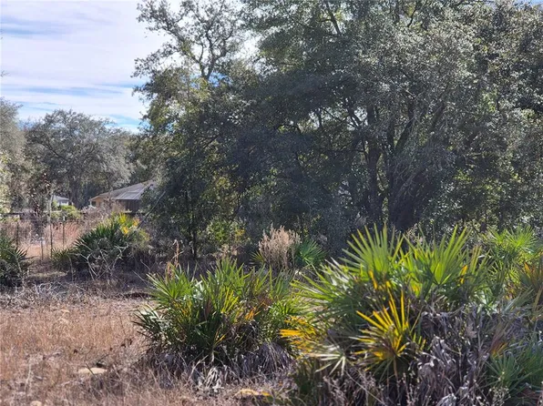 0 NE 78th Ln Lot 19, Bronson, FL 32621