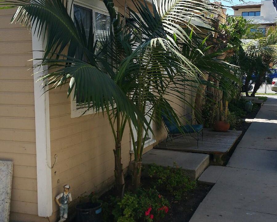 2nd image of 122 7th St APT B