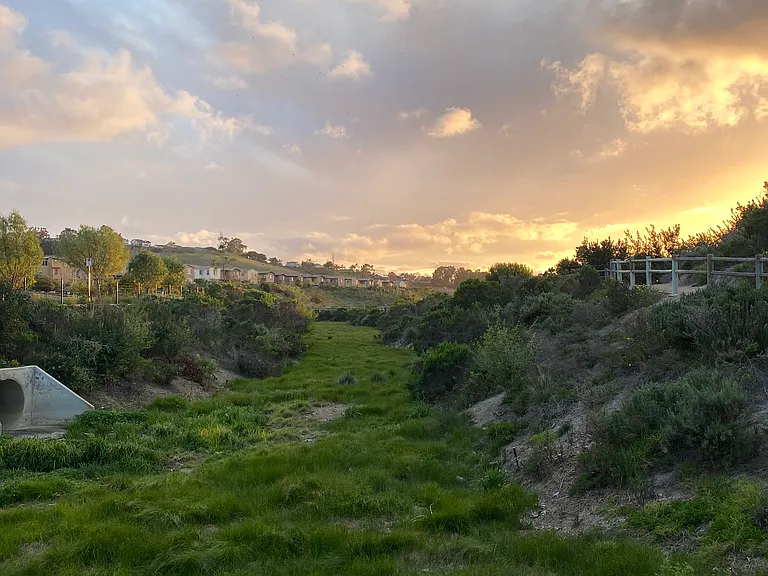 Simba Way — Photo 13
