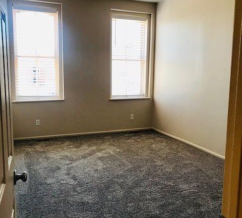 10 ft ceilings, 17 x 11 bedroom. All new carpet. wood Levelor blinds.