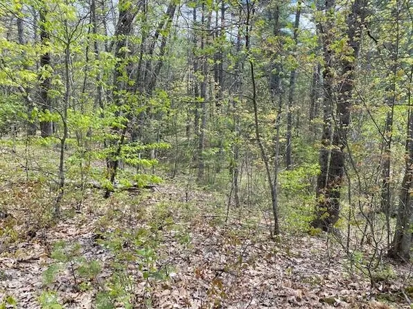 Map 13 Lot 11, Waterboro, ME 04061