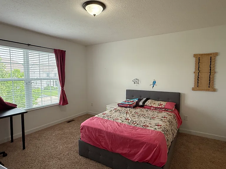 4143 Freesia Dr — Photo 16