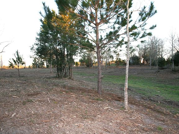 3rd image of Peters San Felipe Rd