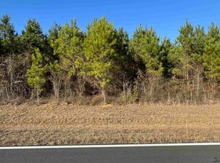 LOT 2A Whitfield Rd, Elko, GA 31025