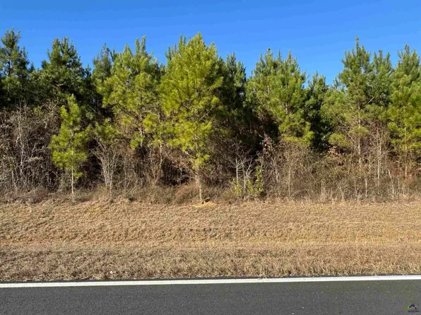 LOT 2A Whitfield Rd, Elko, GA 31025