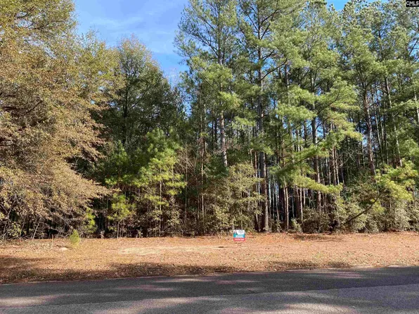 Wexford Mill Dr, Wagener, SC 29164