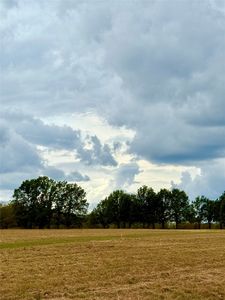 LOT 8 County Road 3811, Wills Pt, TX, 75169
