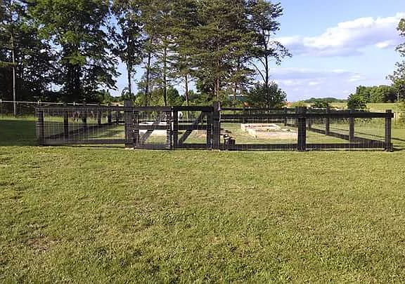 Vegetable Garden