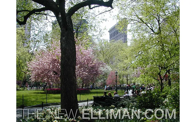 Sold by Douglas Elliman | media 33