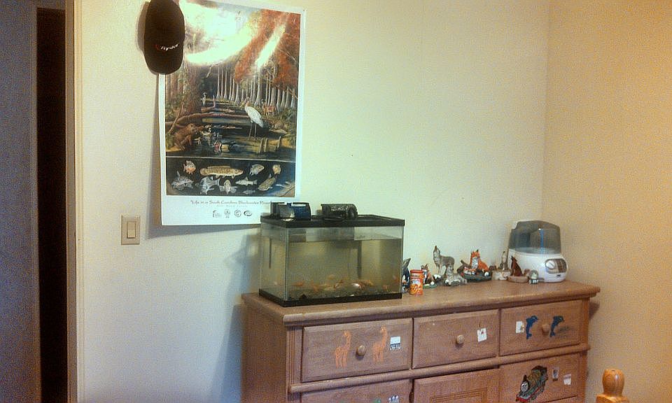 2nd Bedroom