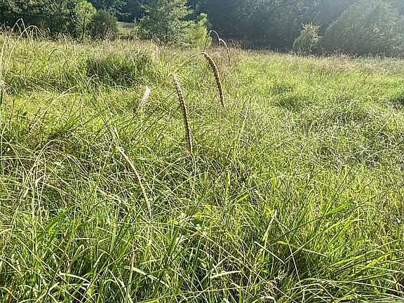 4th image of 183 Lawrence Rd #352