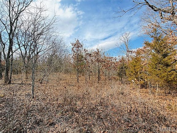 3rd image of Dogwood Ln