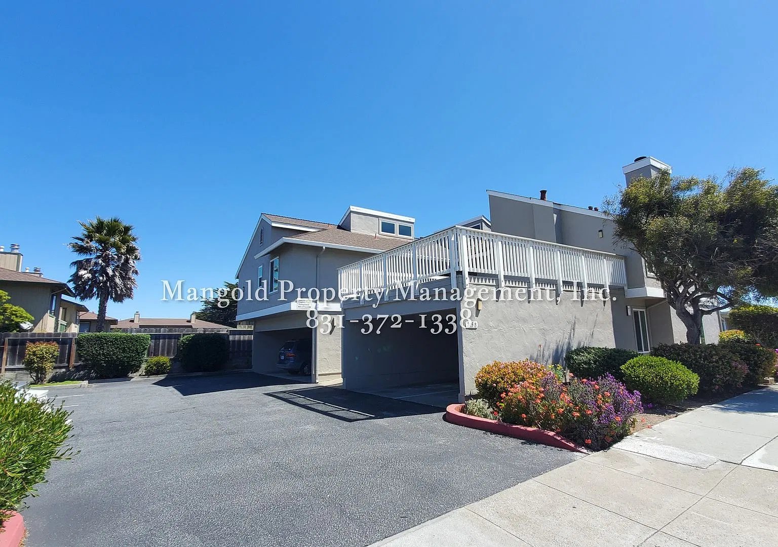 245hill — Photo 1