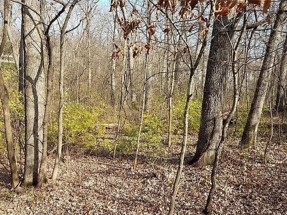 4th image of LOT 357 Dogwood Ln