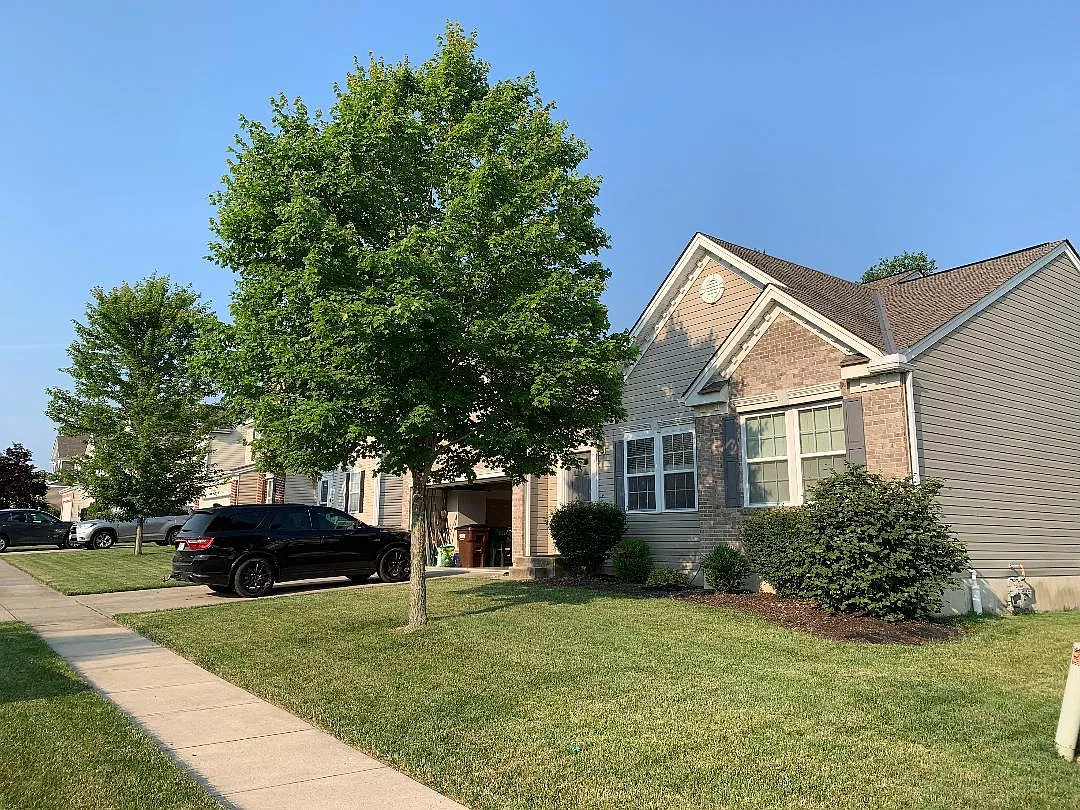 3 bed, 3131 sqft, $2,590 — Photo 1