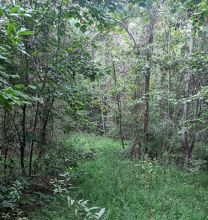 2nd image of TRACT 2 County Road 561