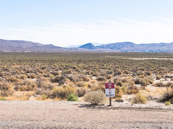 87 Wild Poppy Ct, Smith Valley, NV 89430