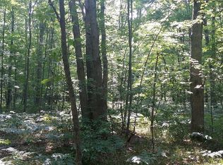 Vacant, Manistee, MI 49660