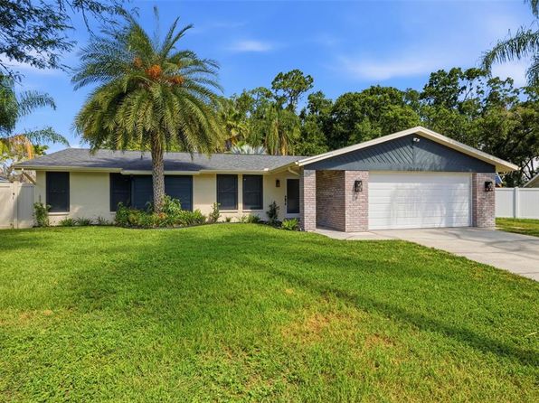 12606 Wood Ibis Way, Tampa, FL 33624 home