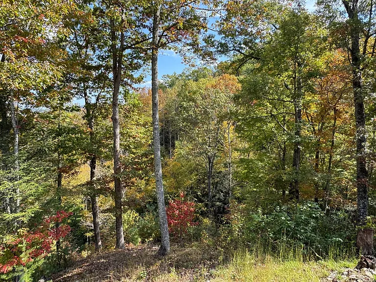 505 Adams Rd — Photo 37