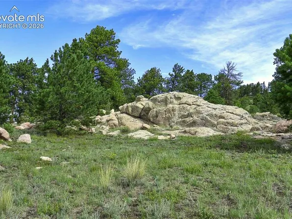 32 Peak Dr, Guffey, CO 80820