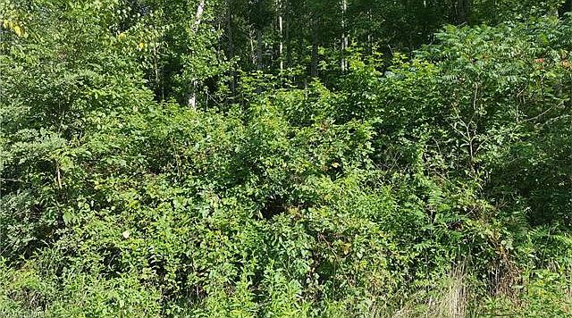 2nd image of Tbd (5 Acres) Roberts Shop Rd