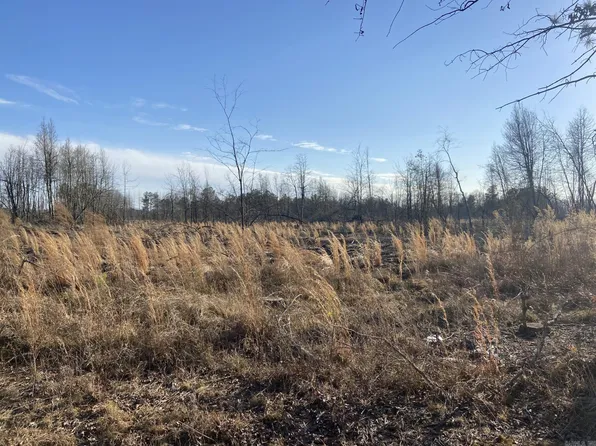 (undisclosed Address), Ozan, AR 71855