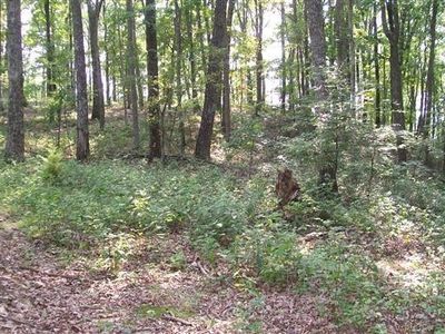 0 Bluff Line Dr, McMinnville, TN, 37110